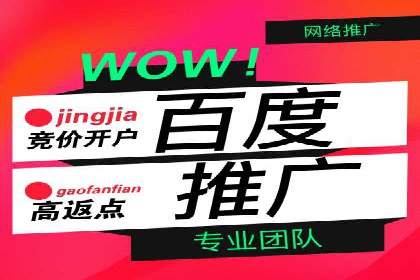 竞价推广公司案例分析：精准投放策略助力企业业绩翻倍